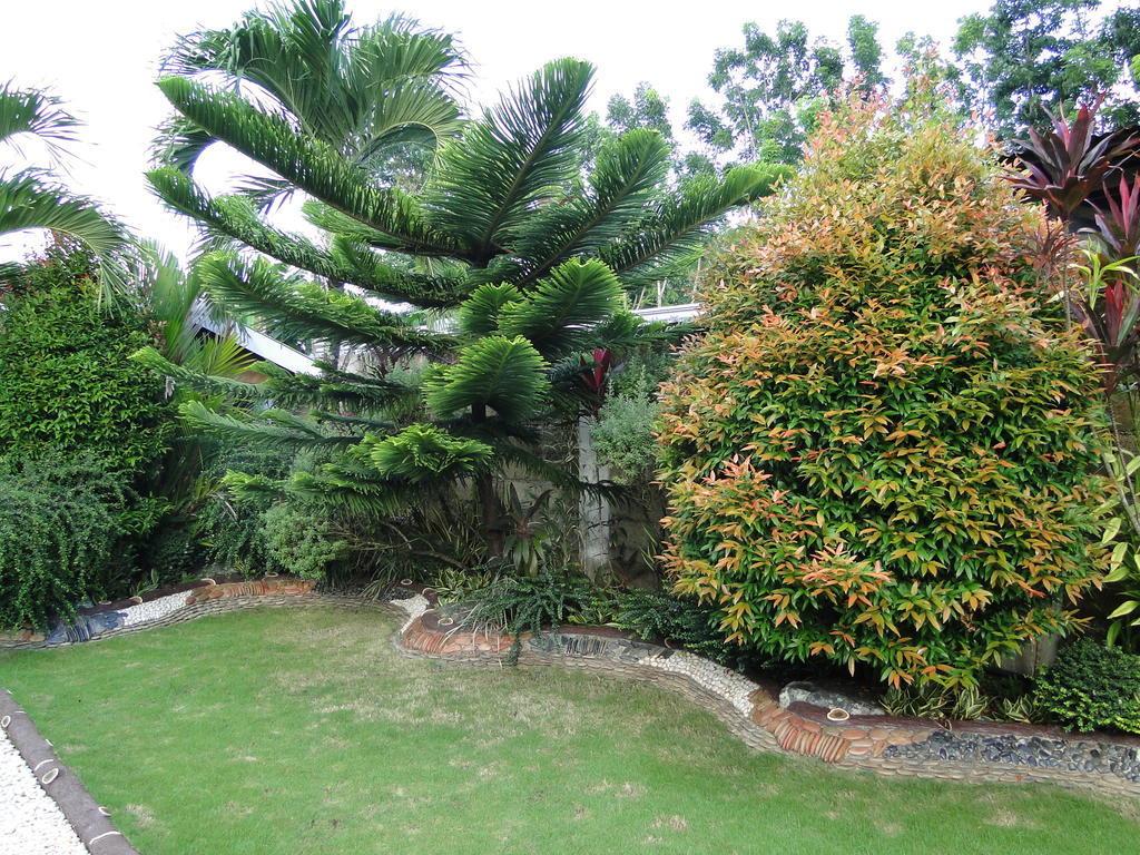 Susan'S Place Bed And Breakfast Puerto Princesa Εξωτερικό φωτογραφία